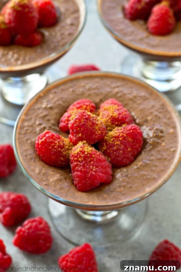 Mocha Raspberry Chia Dream 4 Extra-creamy and made completely in the fridge, this mocha-flavored raspberry chia seed pudding is the perfect way to get your healthy sweet tooth fix!
