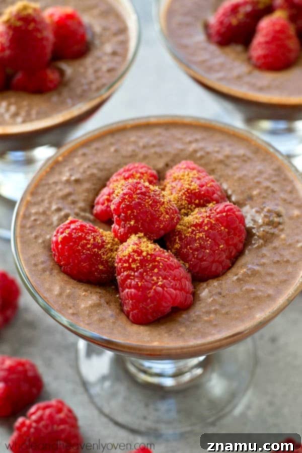 Mocha Raspberry Chia Dream 5 Extra-creamy and made completely in the fridge, this mocha-flavored raspberry chia seed pudding is the perfect way to get your healthy sweet tooth fix!