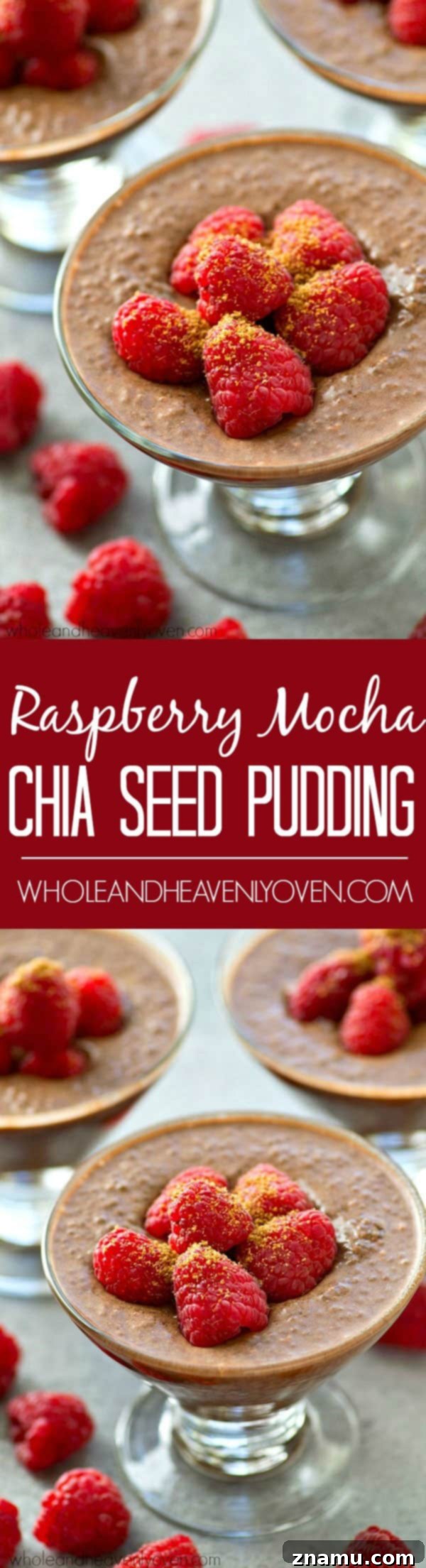 Mocha Raspberry Chia Dream 6 Extra-creamy and made completely in the fridge, this mocha-flavored raspberry chia seed pudding is the perfect way to get your healthy sweet tooth fix!