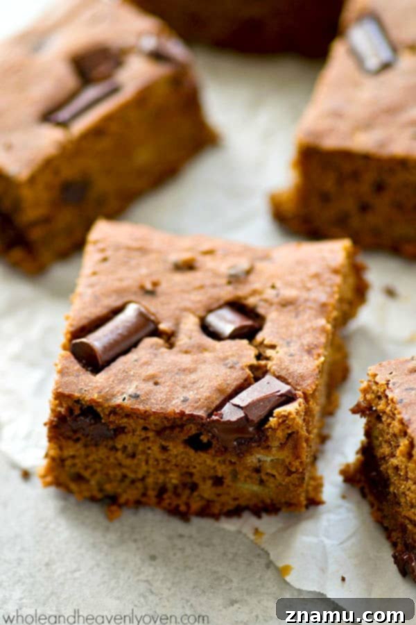 Mocha Raspberry Chia Dream 8 Ultra-soft and moist banana snack cake with a double-whammy of chocolate and surprisingly lighter on the calories too!---Have two or three pieces without the guilt.