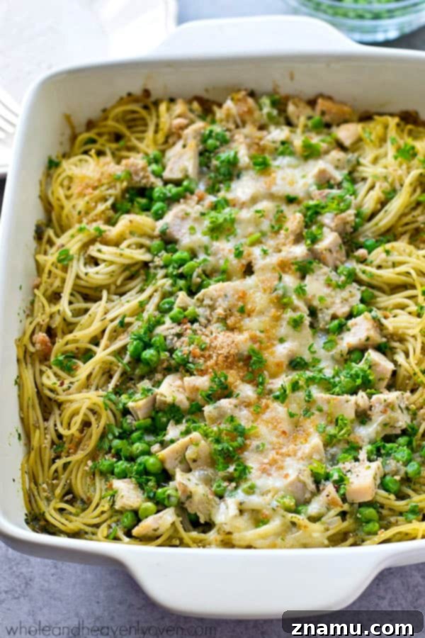 Creamy Basil Pesto Chicken Tetrazzini baking dish, showcasing a golden-brown top with melted cheese and fresh basil garnish