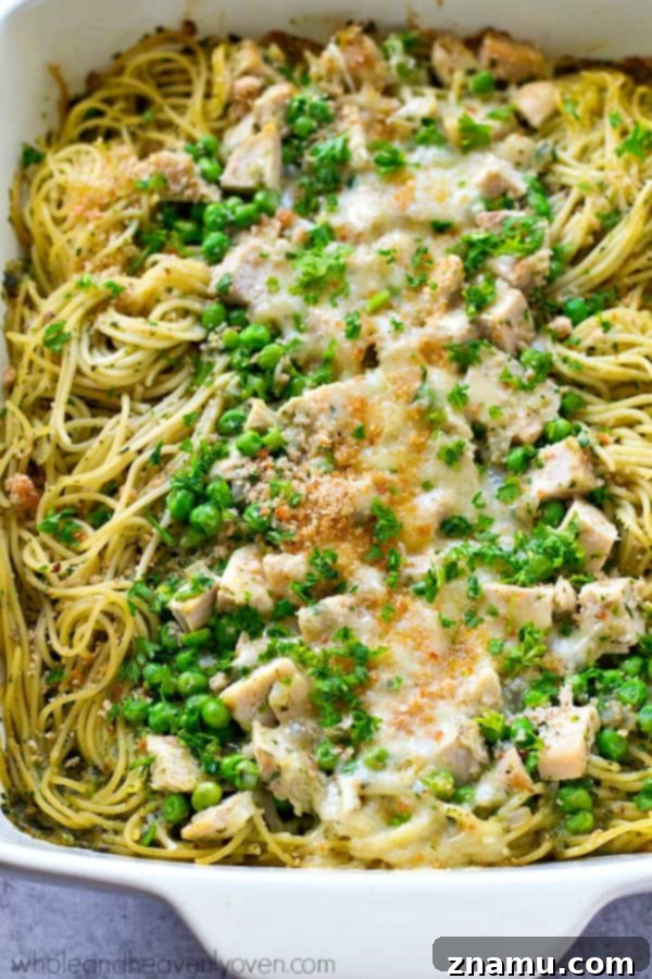 Overhead shot of creamy basil pesto chicken tetrazzini, garnished with fresh basil leaves