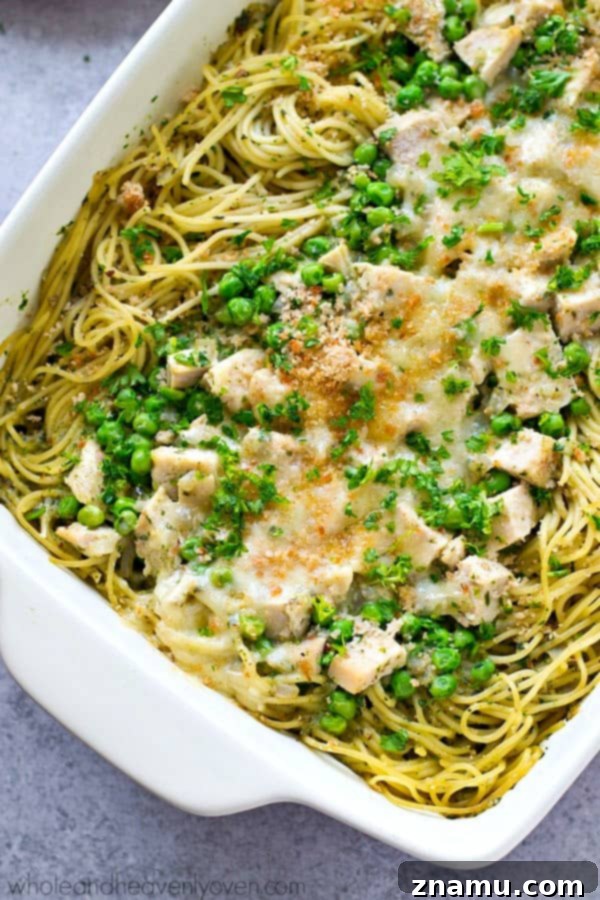 Close-up of a single serving of chicken pesto tetrazzini on a plate, ready to be enjoyed