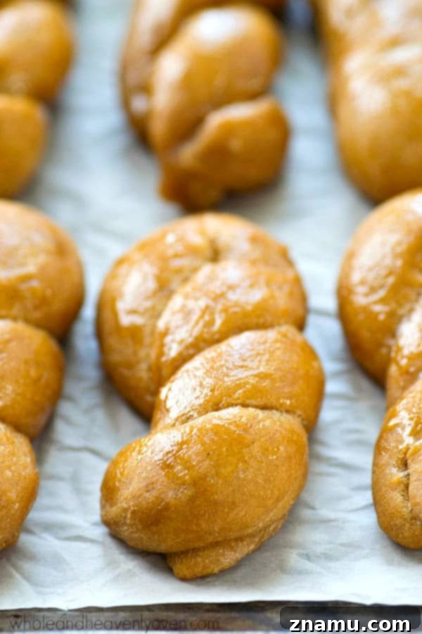 Mock Sourdough Bread Twists No Starter 4 A trio of freshly baked, golden-brown sourdough twists, showcasing their appealing twisted shape and crust, perfect for sharing.