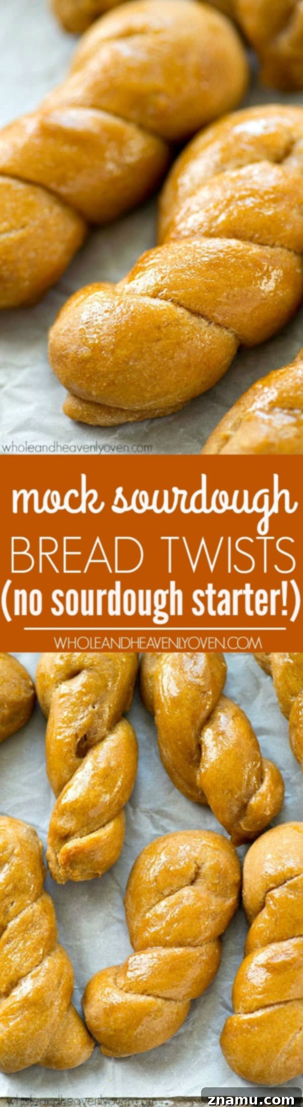 Mock Sourdough Bread Twists No Starter 8 A visually appealing shot of the airy, tender interior of a mock sourdough bread twist, emphasizing its perfect texture.