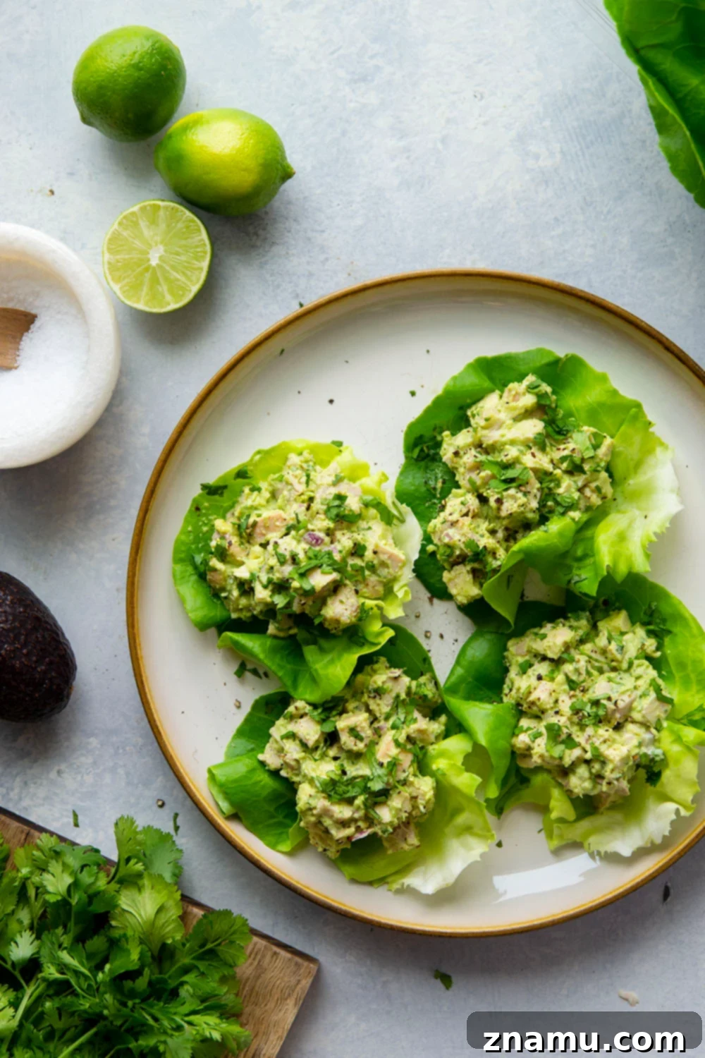 Avocado Chicken Lettuce Wraps 2 Freshly prepared creamy avocado chicken salad in crisp butter lettuce wraps, ready to serve for a healthy lunch.