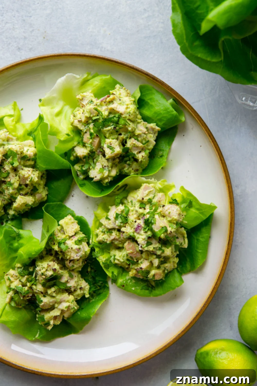 Avocado Chicken Lettuce Wraps 6 Overhead shot of two freshly prepared avocado chicken salad lettuce wraps, served on a light plate.
