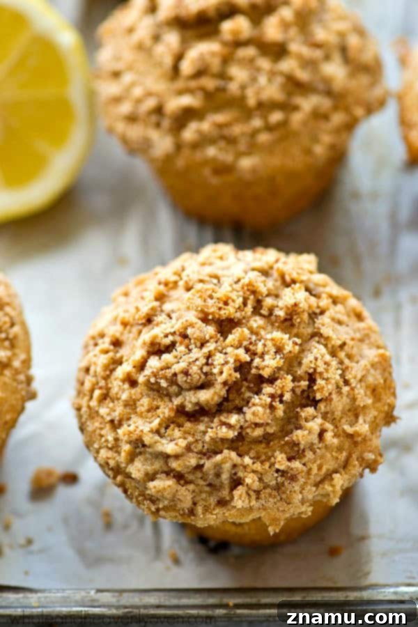 Airy Lemon Poppyseed Bundt Delight 10 Ultra-fluffy and moist Lighter Greek Yogurt Lemon Crumb Muffins, packed with lemon flavor and made healthier with Greek yogurt. A taste of spring in every bite!