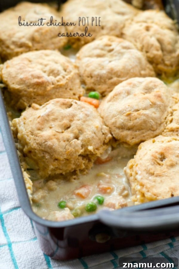Mini Frosted Chocolate Chip Cookies 10 Comforting Biscuit Chicken Pot Pie Casserole, a hearty and easy dinner solution topped with fluffy biscuits.