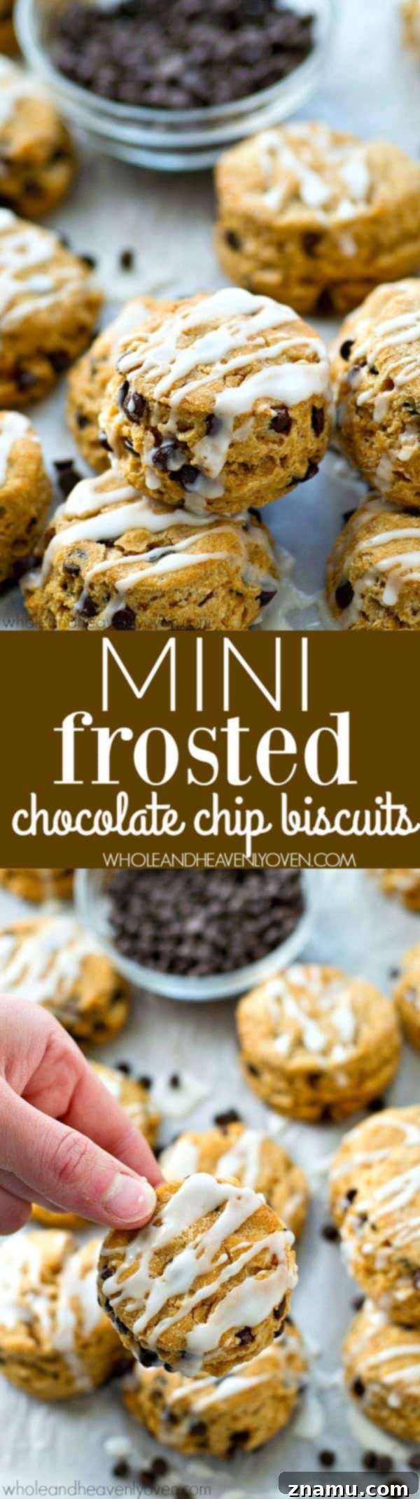 Mini Frosted Chocolate Chip Cookies 8 An appetizing close-up of a Mini Frosted Chocolate Chip Biscuit being held, showcasing its tender crumb, melted chocolate, and sweet glaze.