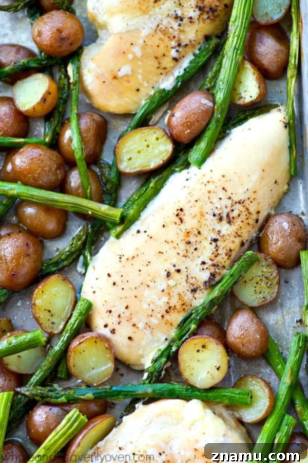 Close-up view of the deliciously roasted chicken and vegetables, highlighting the golden skin and fresh green asparagus.