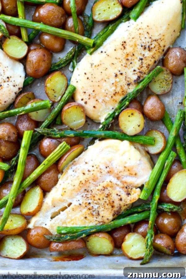 The beautifully arranged roasted chicken, asparagus, and fingerling potatoes on a single sheet pan, ready to serve.