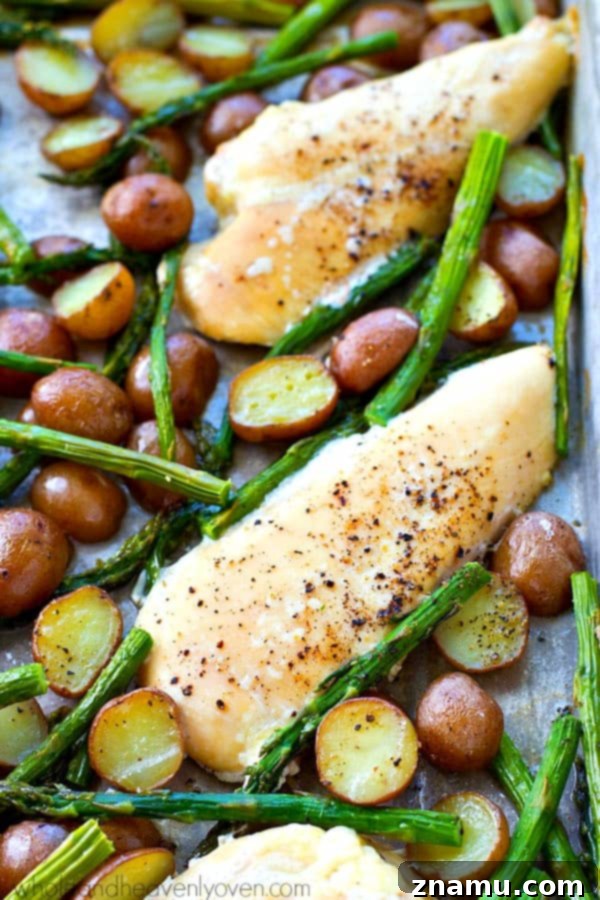An appetizing shot of the completed one-pan meal, showcasing the simplicity and deliciousness of this 7-ingredient recipe.