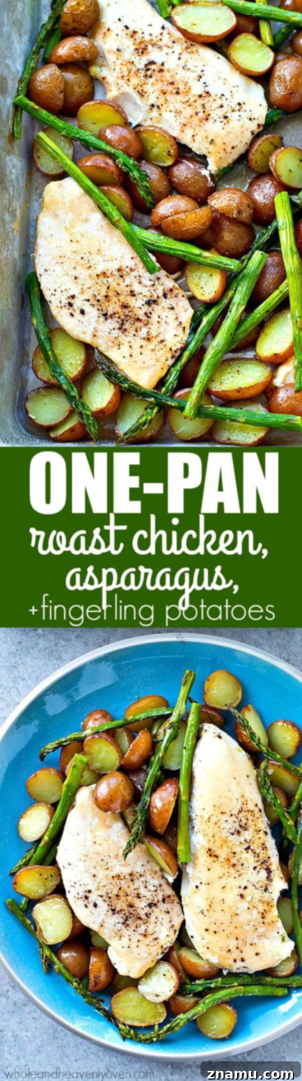 A close-up of the flavorful, garlicky asparagus and tender fingerling potatoes alongside juicy roasted chicken, straight from the oven.