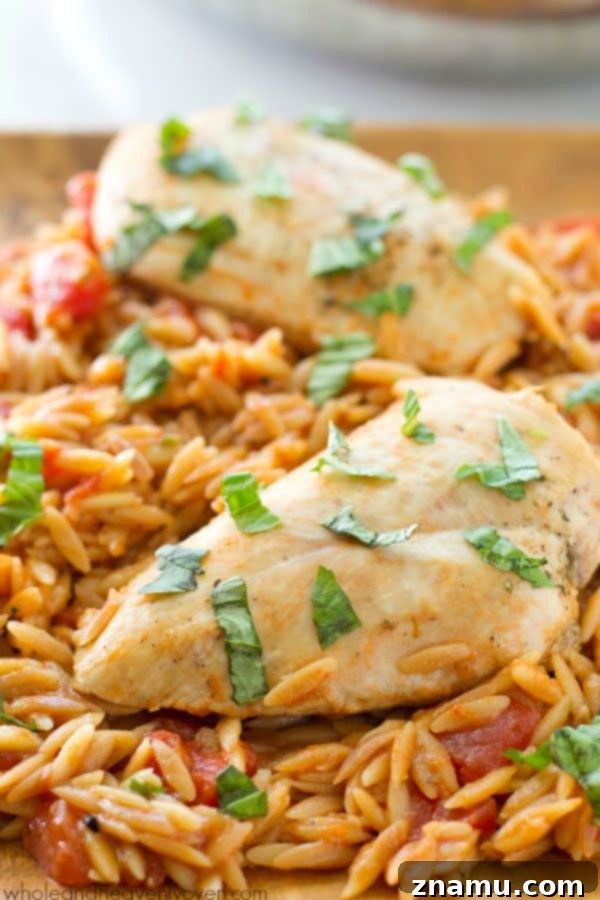 Tuscan Braised Chicken Feast 11 Ready in 30 minutes and made in only one pot, this Italian-style chicken and orzo pasta is total comfort food that anyone can make it's so easy!