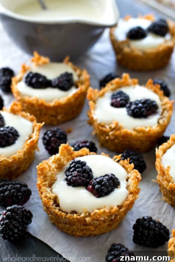 Macaroon Crowned Blackberry Cheesecake Tartlets 4 A close-up side view of a mini no-bake cheesecake tartlet, emphasizing the thick, golden-brown coconut macaroon crust. The creamy white filling is visible, crowned with several ripe blackberries, suggesting a perfect balance of flavors and textures.