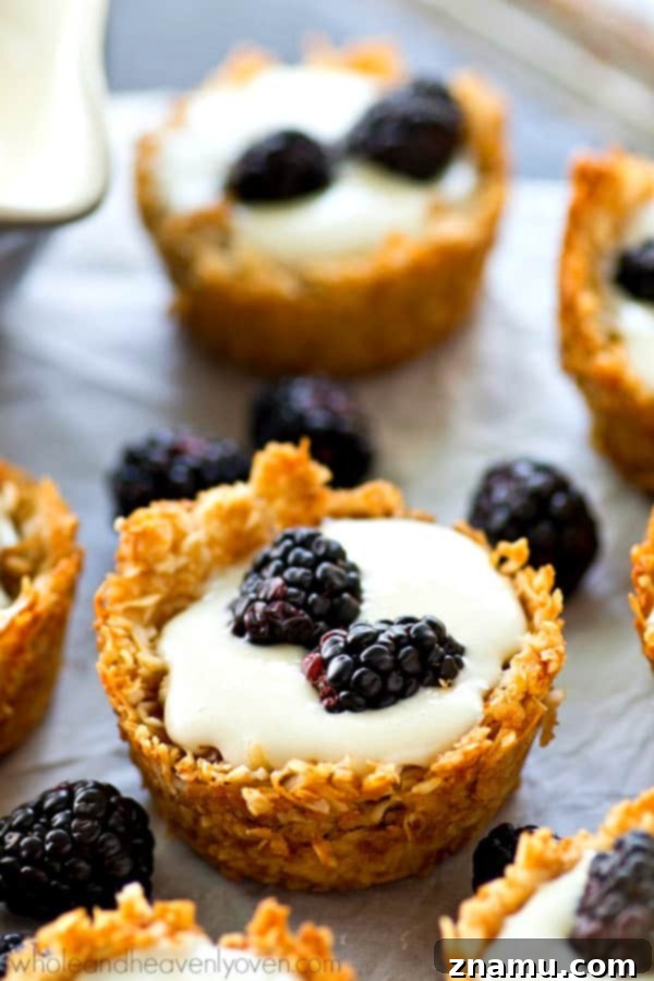Macaroon Crowned Blackberry Cheesecake Tartlets 7 A beautifully composed shot of multiple mini no-bake cheesecake tartlets on a light-colored surface, each adorned with blackberries. The focus highlights the contrast between the golden crusts and the dark, juicy fruit, emphasizing their visual appeal.