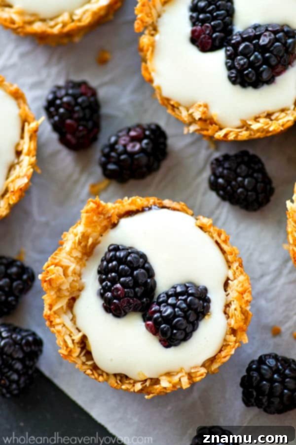Macaroon Crowned Blackberry Cheesecake Tartlets 8 A close-up view of a single mini no-bake cheesecake tartlet, beautifully garnished with fresh blackberries, ready to be enjoyed. The lighting highlights the texture of the coconut crust and the vibrant color of the fruit, making it look incredibly appetizing.