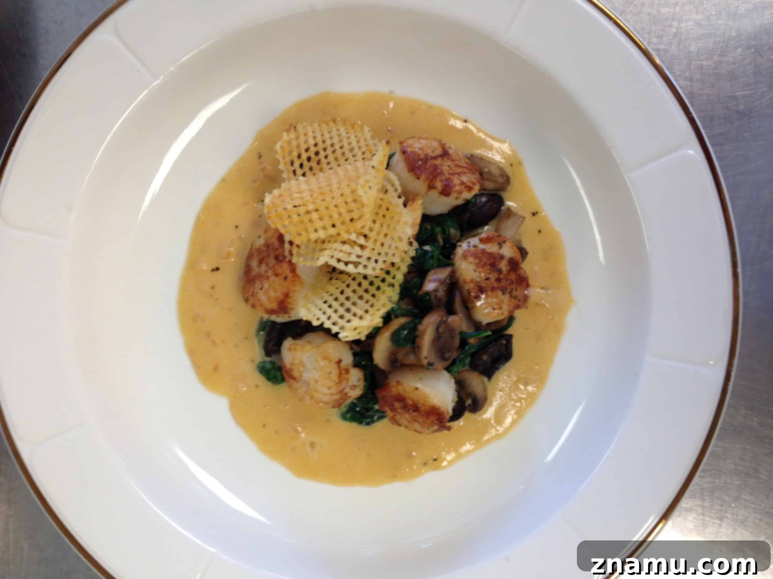 Kitchen Secrets: The Ongoing Culinary Quest 19 Delicious Appetizers on Display