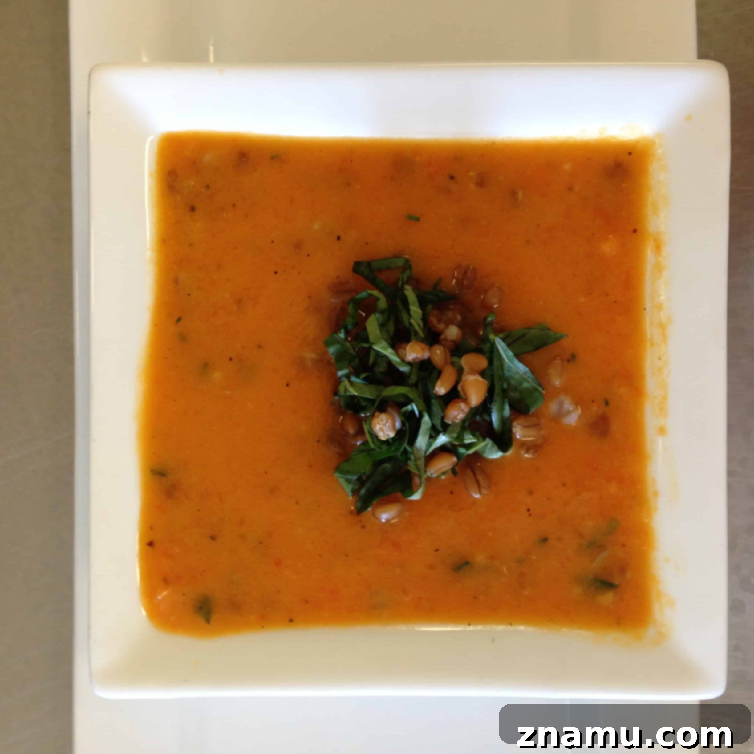 Kitchen Secrets: The Ongoing Culinary Quest 9 Artfully Plated Entree with Sauce Drizzle