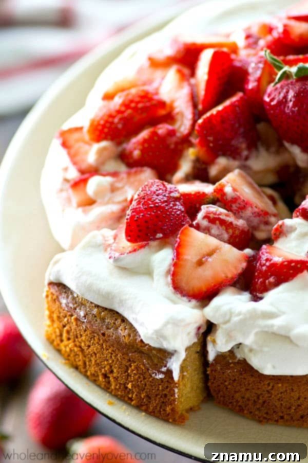 One-Pan Strawberry Shortcake 2 Delicious single-layer yellow cake with fluffy whipped cream and vibrant fresh strawberry sauce, perfect for summer celebrations