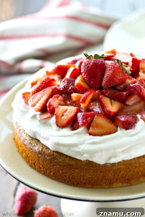 One-Pan Strawberry Shortcake 3 Close-up of fluffy whipped cream and vibrant strawberry topping on a moist yellow cake, ready to be served