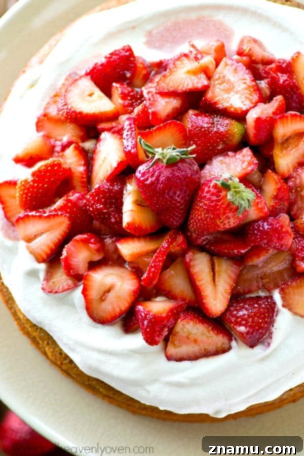 One-Pan Strawberry Shortcake 4 Single-layer yellow cake generously topped with whipped cream and fresh strawberry sauce, presented beautifully for summer dessert