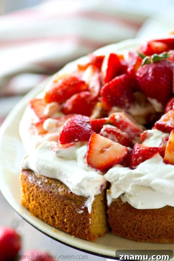 One-Pan Strawberry Shortcake 5 Close-up of a perfectly sliced piece of strawberry shortcake, revealing its moist yellow cake, creamy whipped cream, and juicy strawberry filling