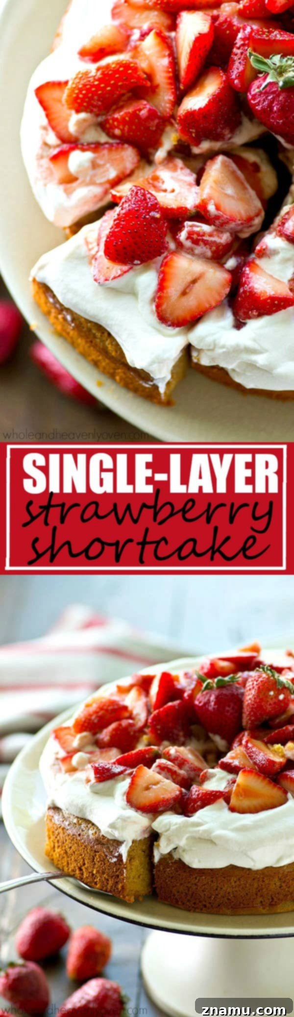 One-Pan Strawberry Shortcake 8 Large, high-resolution image of the fully assembled single-layer strawberry shortcake, showing its vibrant colors and tempting textures