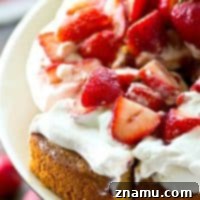 One-Pan Strawberry Shortcake 9 Small hero image of the classic single-layer strawberry shortcake dessert
