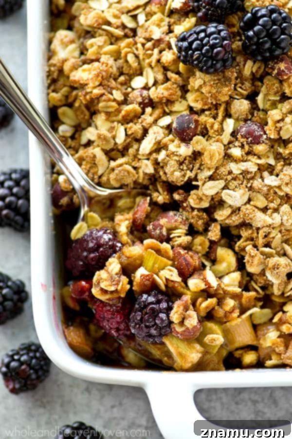 Fresh, uncooked blackberries and diced rhubarb mixed with sugar and cornstarch, ready for baking into a delicious crumble.