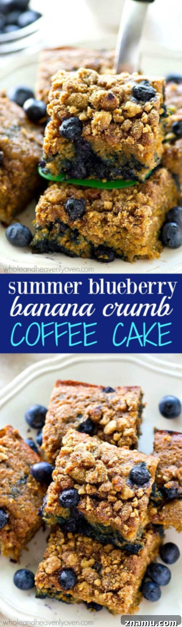 An overhead shot of an entire blueberry banana crumb coffee cake, showcasing its size and deliciousness.
