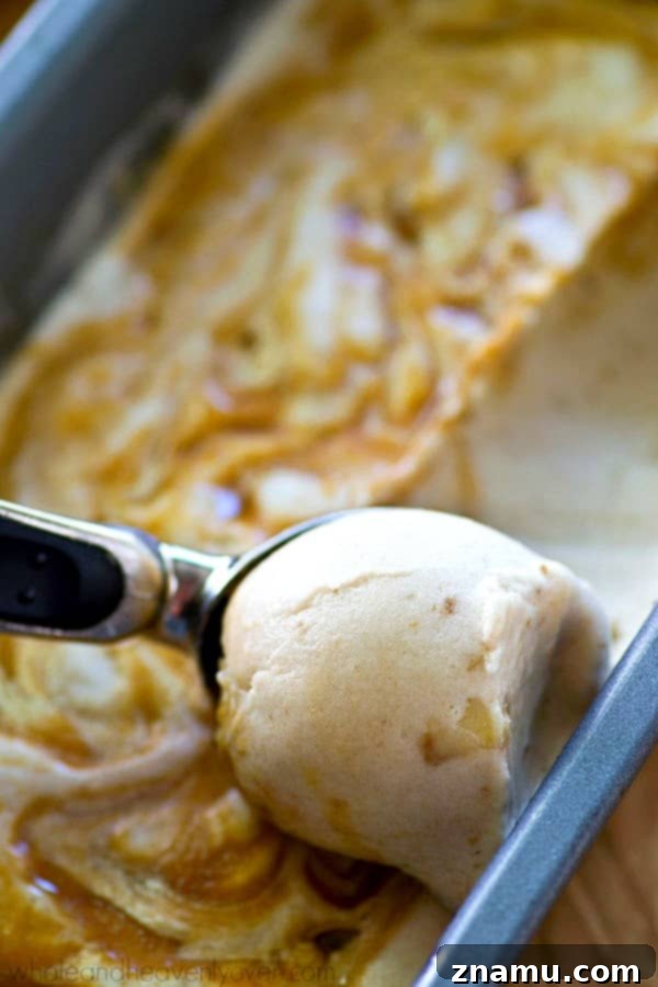 No-Churn Caramel Swirl Banana Bliss 3 Delicious Homemade Banana Ice Cream