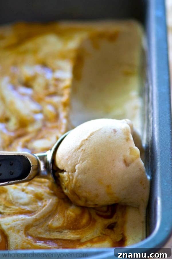 No-Churn Caramel Swirl Banana Bliss 4 Easy No-Churn Nice Cream Recipe