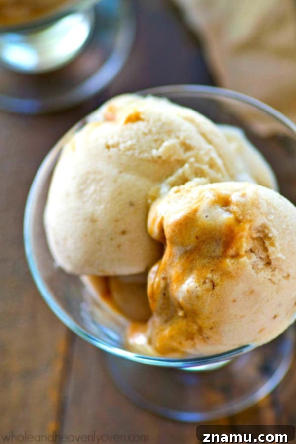 No-Churn Caramel Swirl Banana Bliss 5 Banana Ice Cream with Caramel Swirl