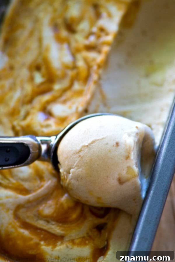 No-Churn Caramel Swirl Banana Bliss 6 Luscious Homemade Caramel Swirl