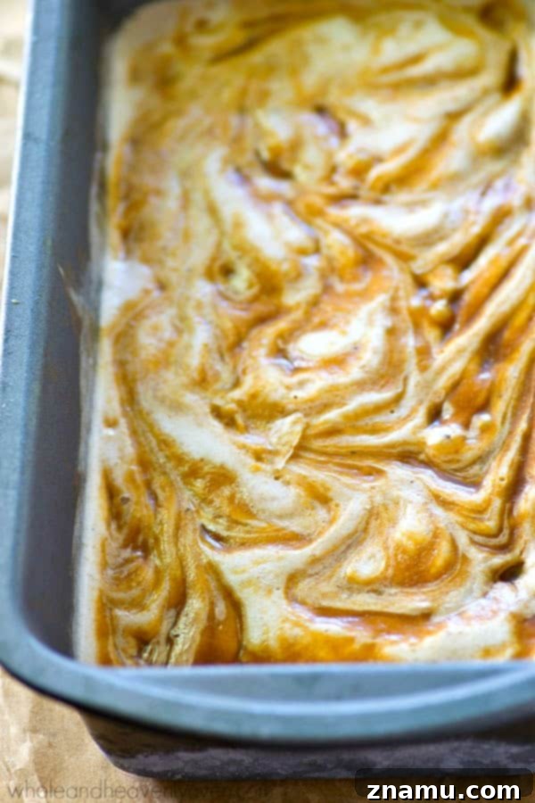 No-Churn Caramel Swirl Banana Bliss 7 Homemade No-Churn Ice Cream