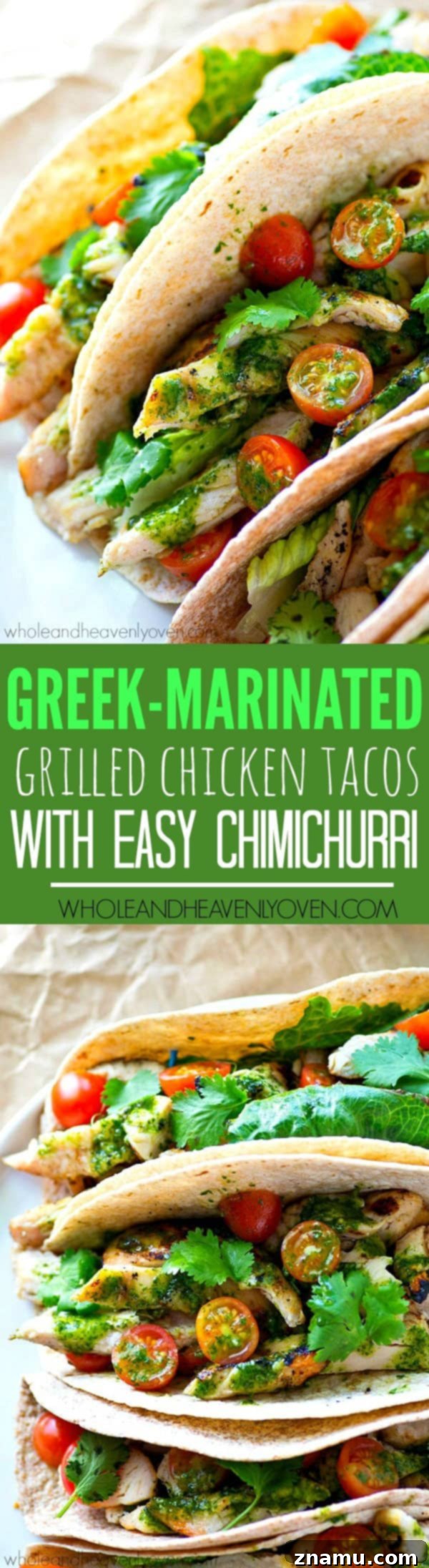 Chargrilled Greek Chicken Tacos with Fresh Herb Chimichurri 8 A top-down view of several grilled chicken tacos, showcasing their colorful and inviting presentation.
