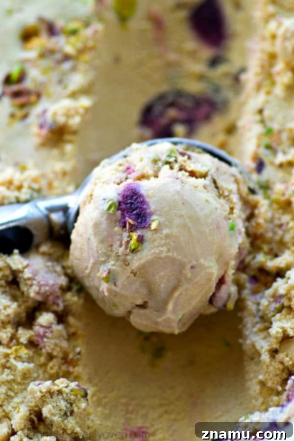 Textured Roasted Cherry Pistachio Ice Cream A close-up shot of homemade roasted cherry pistachio ice cream, showing the texture and ingredients.