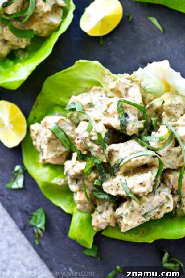 Pesto Grilled Chicken Lettuce Wraps 5 A hand holding a grilled chicken pesto lettuce wrap, showcasing its freshness.