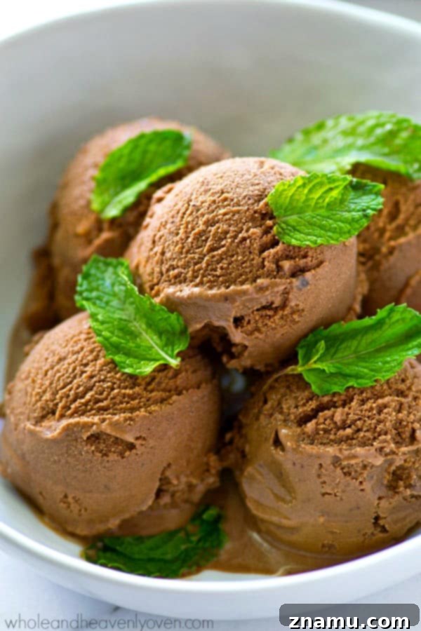 Dark Chocolate Mint Mocha Swirl 2 Rich, dark chocolate ice cream infused with mint and mocha, served in a glass bowl, ready to be devoured.