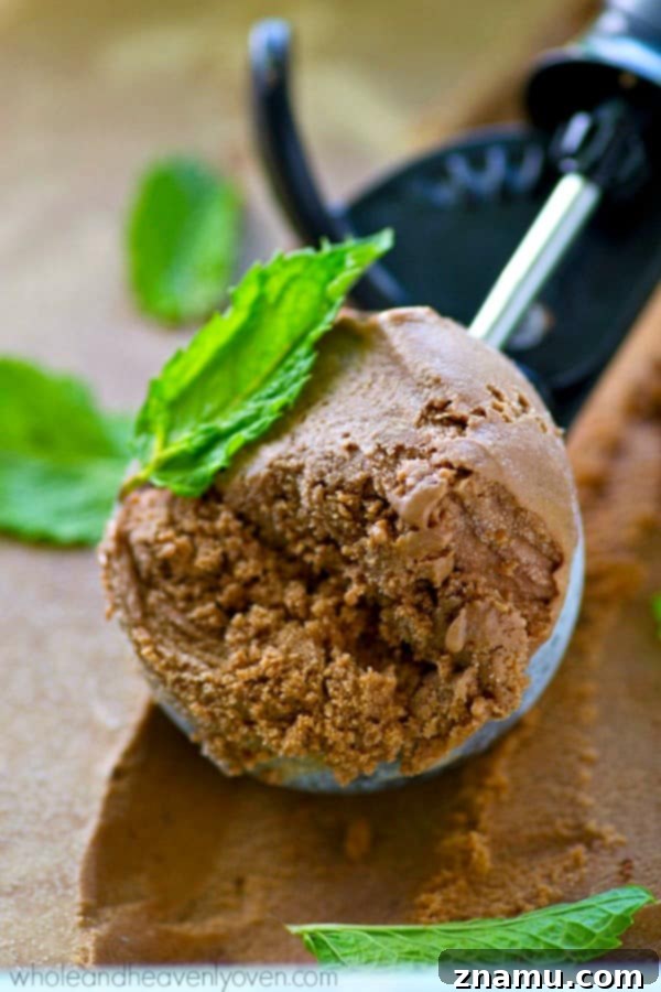 Dark Chocolate Mint Mocha Swirl 3 Close-up of decadent Mint Dark Chocolate Mocha Ice Cream in a bowl, showing its smooth, creamy texture.