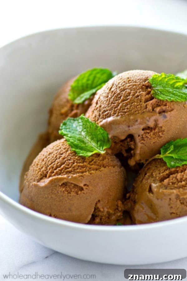 Dark Chocolate Mint Mocha Swirl 4 Several scoops of Mint Dark Chocolate Mocha Ice Cream, garnished with chocolate shavings, in a white bowl.