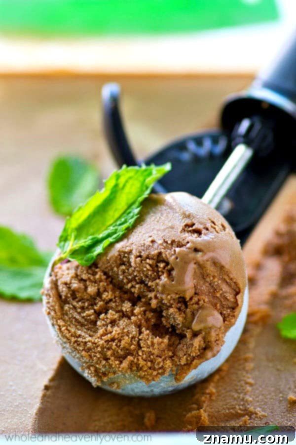 Dark Chocolate Mint Mocha Swirl 5 A scoop of Mint Dark Chocolate Mocha Ice Cream with a vibrant green mint leaf on top, highlighting the mint flavor.
