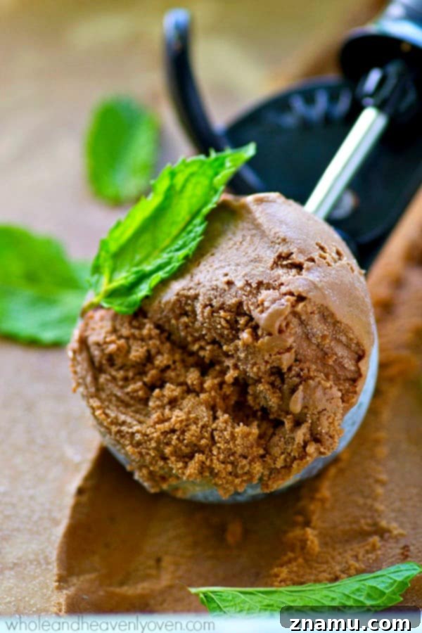 Dark Chocolate Mint Mocha Swirl 6 Two generous scoops of Mint Dark Chocolate Mocha Ice Cream in a bowl, with a rich, dark color.