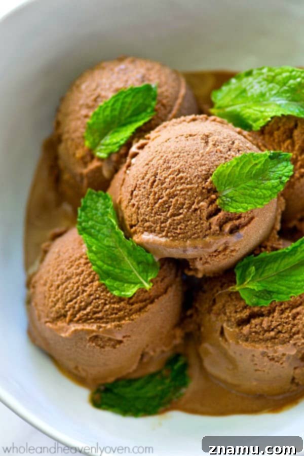 Dark Chocolate Mint Mocha Swirl 7 A spoon digging into a bowl of Mint Dark Chocolate Mocha Ice Cream, showcasing its creamy texture.