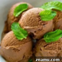 Dark Chocolate Mint Mocha Swirl 9 Mint Dark Chocolate Mocha Ice Cream