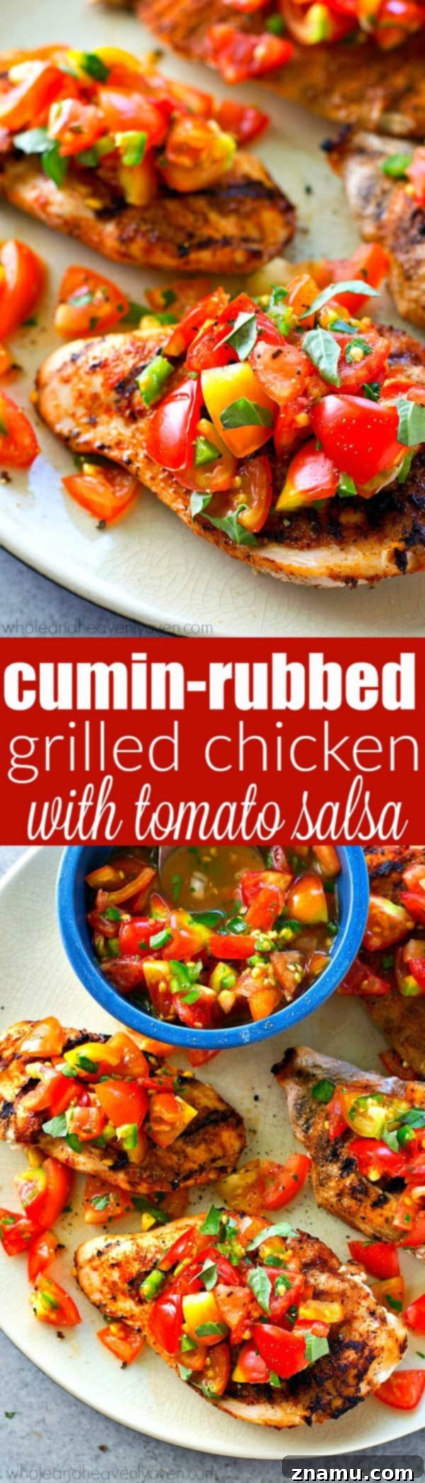 Fiesta Grilled Chicken with Fresh Salsa 8 A vibrant and refreshing spread of cumin grilled chicken with tomato salsa and fresh herbs.