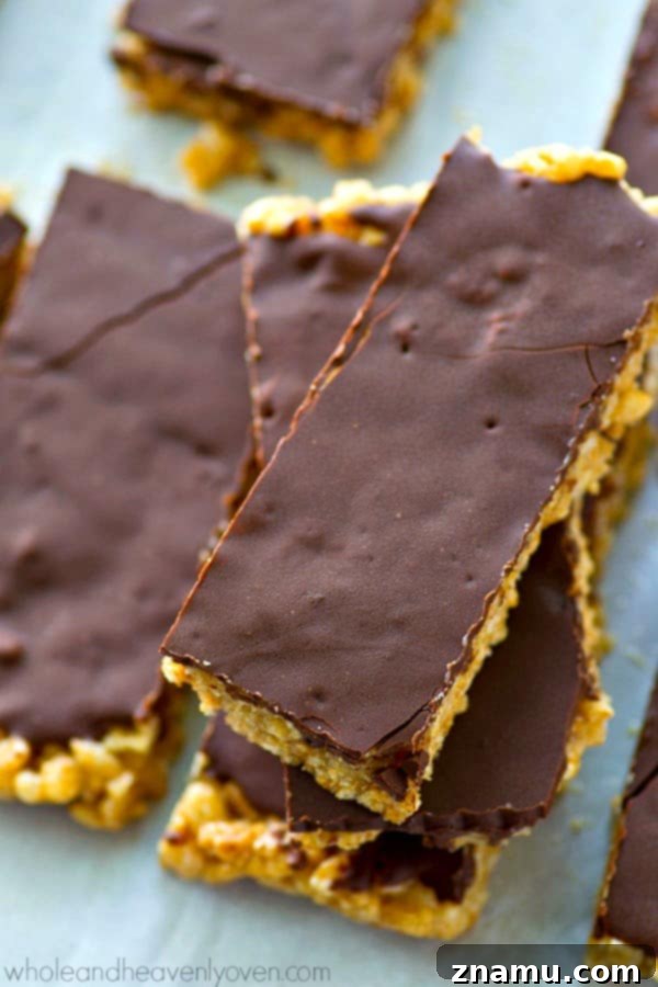 No-Bake Chocolate Cashew Butter Crunch Bars 6 Close-up of a single healthy no-bake chocolate cashew butter rice krispie treat.