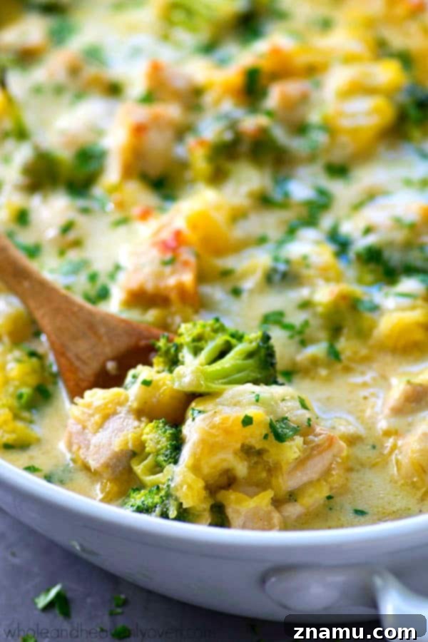 Golden Three-Cheese Chicken and Broccoli Spaghetti Squash Bake 2 Oven-baked Three-Cheese Chicken Broccoli Spaghetti Squash Casserole, topped with melted cheese and fresh parsley, ready to serve.